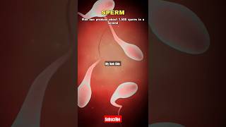 What is SPERM 🧬😱 spermhumananatomyreproductivesystembiologyeducation [upl. by Blancha]