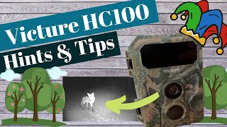 Victure HC100 Wildlife Camera Hints and Tips [upl. by Ayr]