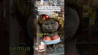 Pov cat catmeme meme kucinglucu catphoto kucing cattax fyp funny short [upl. by Manning395]