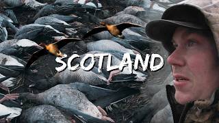 BEST GOOSE HUNTING IN THE WORLD  Scotland Waterfowl Hunting Part 1 [upl. by Proctor65]