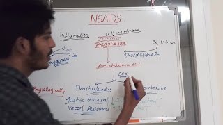 NSAIDs Pharmacology [upl. by Padraig]