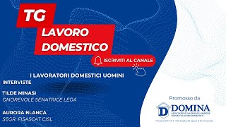 Tg Lavoro Domestico  i lavoratori domestici uomini [upl. by Opiuuk]