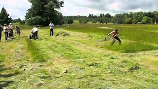 BCS mower vs scythe 2012 [upl. by Athal307]