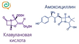 Побыстрому о лекарствах Амоксициллин и клавулановая кислота [upl. by Durstin780]