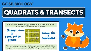 Sampling Quadrats amp Transects [upl. by Frick]