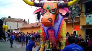 Desfile de toros Pirotecnicos [upl. by Supen]