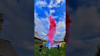 Gender Reveal România MariusXMelisa babygender fireworks babygenderreveal genderreveal [upl. by Ahsitul273]