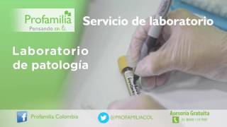 Servicio de Laboratorio Cínico [upl. by Enalahs107]