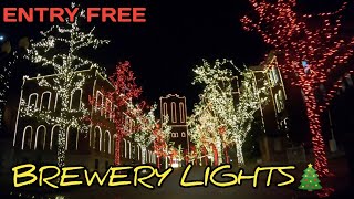 AnheuserBusch Brewery Lights DriveThru Experience 2020 Is Beautiful in St Louis Missouri [upl. by Alicia]