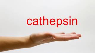 How to Pronounce cathepsin  American English [upl. by Eclud886]