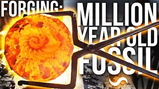 FORGING A MILLION YEAR OLD FOSSIL [upl. by Enalahs]