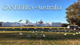 CANBERRA Australia Travel Vlog 2 Days 1 Night  Places to Visit in Canberra Australia [upl. by Dagall]