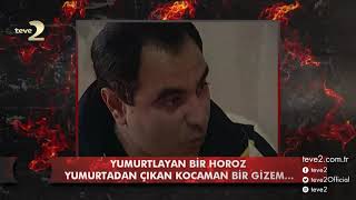 Sadettin Teksoy Zaman Tüneli Yumurtalayan Horozun Gizemi [upl. by Nayra]