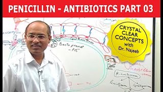 Penicillin  Antibiotics  Dr Najeeb  Part 34 [upl. by Atiuqnahs]