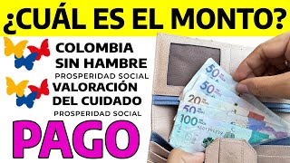 ¿Cuál es el monto de Colombia Sin Hambre y Valoración del Cuidado   Devolución del IVA [upl. by Nancee]