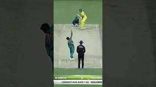 Australia All Fall of Wickets Against Pakistan PAKvAUS SportsCentral Shorts PCB M7C2K [upl. by Orella]