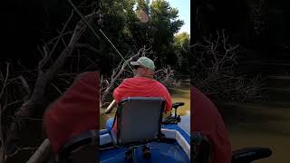 CRAPPIE DEVOURS JIG trending crappiefishing shortvideo crappie shorts viralshort [upl. by Edelman165]