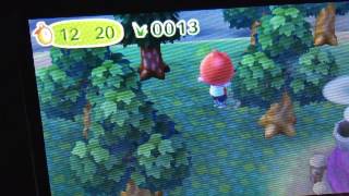 Animal Crossing  New LeafBONUS Des mauvaises herbes PARTOUT [upl. by Olimreh]