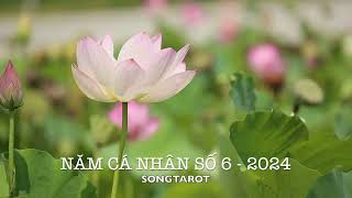 năm cá nhân số 6  2024 [upl. by Lynette370]