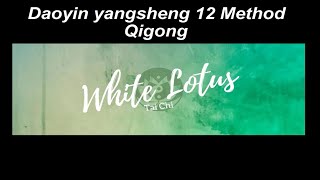 Daoyin Yangsheng 12 Method Qigong  White Lotus Tai Chi [upl. by Asihtal106]