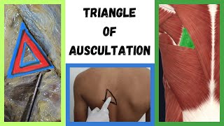 Triangle of Auscultation  human anatomy  Foziya Vohra amp Mukta Nivedita [upl. by Conway]