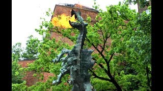 Wawel Dragon Smok Wawelski  Fire Breathing Dragon in Kraków [upl. by Grantham49]