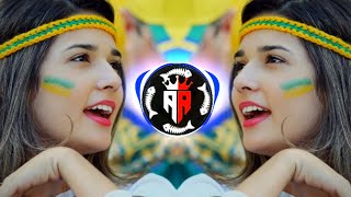 Farsi remix song ❤️  Farsi Song 🎧  TikTok viral song  Most Trending song [upl. by Ahsiyn554]