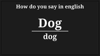 how do you say dog in english [upl. by Ikuy336]