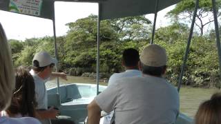 wildlife boat tour Palo Verde National Park Costa Rica part 1 of 3 [upl. by Bowler]