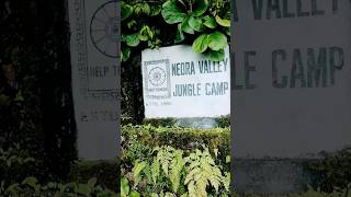 Darjeeling jungle camp westbengal lava [upl. by Temple]