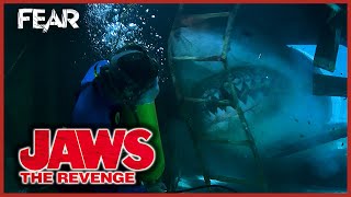 Jaws The Revenge Banana boat HD CLIP [upl. by Jephthah718]