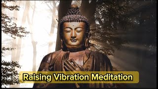 Raising Vibration Meditation [upl. by Jacquenette808]