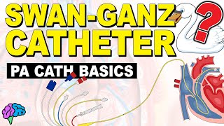 The BASICS of the Pulmonary Artery Catheter [upl. by Dietrich940]