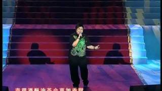 Han Hong 韩红  Heavenly Road 天路 [upl. by Sax]