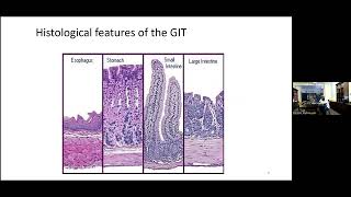 GECHO Fellows Medical programme  Anatomy amp physiology of the foregut [upl. by Lertsek]