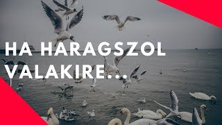 Ha haragszol valakikre  Motivációs videó Szabó Pétertől [upl. by Egdamlat]