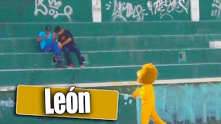 LEON [upl. by Boys583]