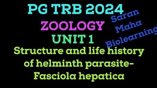 FASCIOLA HEPATICA  SHEEP LIVER FLUKE  TREMATODA  HELMINTH PARASITE  LIFE CYCLE OF FASCIOLA [upl. by Odlaumor]