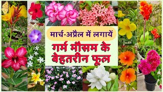 Top 15 Summer flowering plants to bring home Best flowering plants of Summer in India [upl. by Plafker]