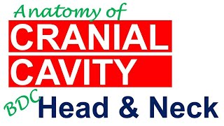 Chp12  Cranial Cavity  Dura Mater  Dural Venous Sinuses  Head amp Neck Anatomy  BDC Vol3 [upl. by Suh]