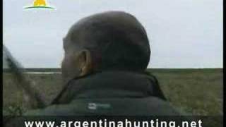 Duck hunting in Argentina  wwwsycsportingcom [upl. by Belia55]