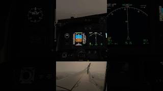 Would This Be Safe In Real Life msfs msfs2020 aviation microsoftflightsimulator flightsimworld [upl. by Eive104]