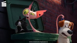 The Secret Life of Pets 2  Dog vs Cats Scene 510  Movieclips [upl. by Rainger567]