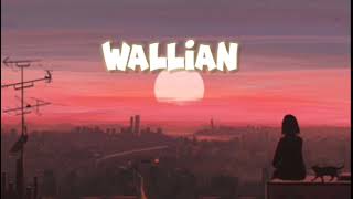 WAALIAN SONG OF HARNOOR IN LOFI [upl. by Pascia840]