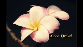 Aloha Orakel 🌺 [upl. by Eniamreg420]