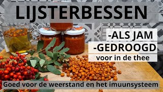 Lijsterbessenjam en Gedroogd Goed voor de Weerstand en het Immuunsysteem [upl. by Siladnerb604]