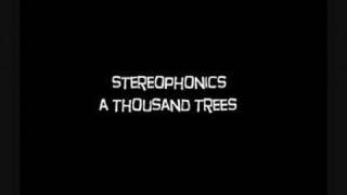 Stereophonics A Thousand Trees [upl. by Nioe492]