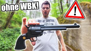 Diesen RIESIGEN 6mm FLOBERT REVOLVER musste ich bei der POLIZEI REGISTRIEREN [upl. by Cita]