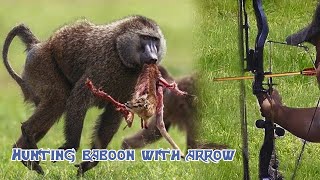 صيد قرد البابون بالسهم 🏹 Hunting baboon with arrow [upl. by Huff]