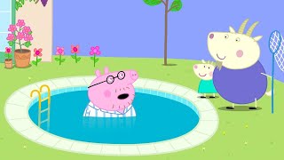 Daddy Pig Falls Into The Swimming Pool 🐷 🏊‍♀️ Adventures With Peppa Pig [upl. by Apple]